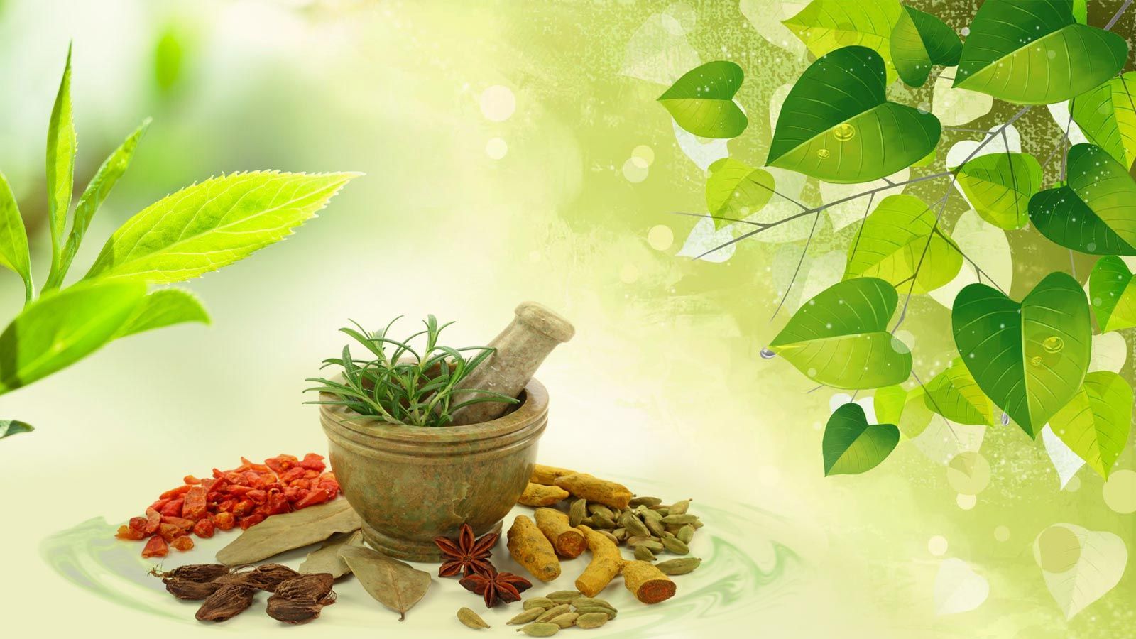 Naturopathy Education